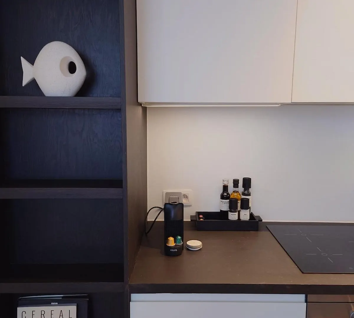 Appartement T'Zuid With Underground Parking Antwerpia Apartament